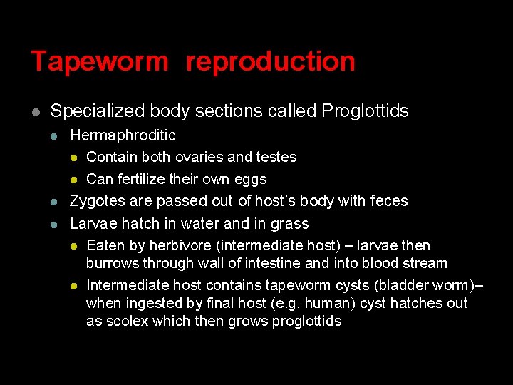 Tapeworm reproduction l Specialized body sections called Proglottids l l l Hermaphroditic l Contain