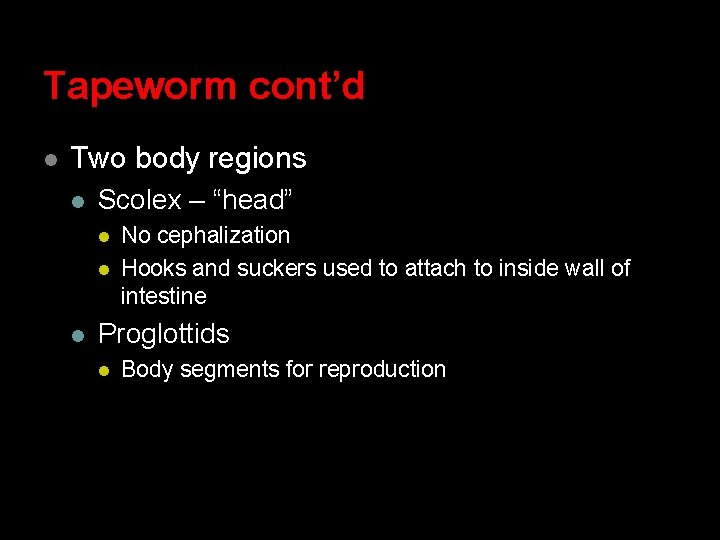 Tapeworm cont’d l Two body regions l Scolex – “head” l l l No