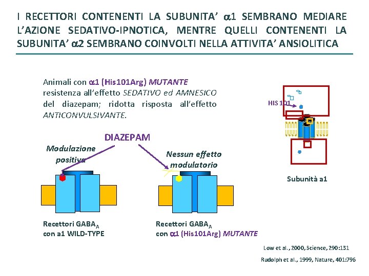 I RECETTORI CONTENENTI LA SUBUNITA’ 1 SEMBRANO MEDIARE L’AZIONE SEDATIVO-IPNOTICA, MENTRE QUELLI CONTENENTI LA