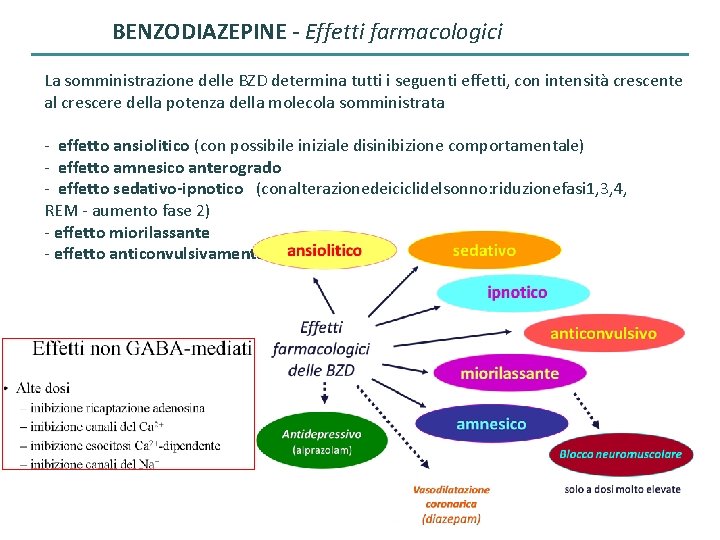 BENZODIAZEPINE - Effetti farmacologici La somministrazione delle BZD determina tutti i seguenti effetti, con