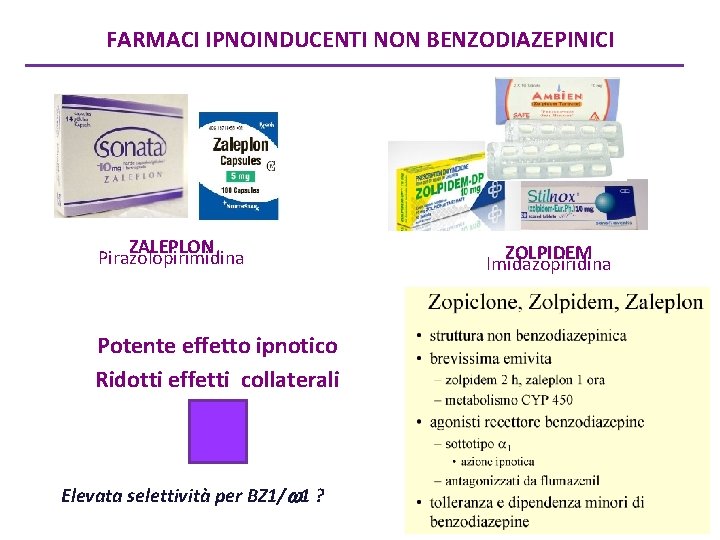 FARMACI IPNOINDUCENTI NON BENZODIAZEPINICI ZALEPLON Pirazolopirimidina Potente effetto ipnotico Ridotti effetti collaterali Elevata selettività