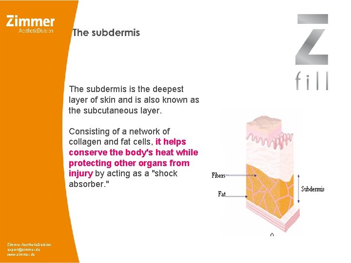 The subdermis is the deepest layer of skin and is also known as the