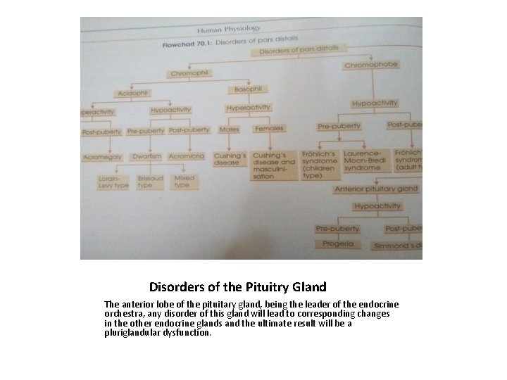 Disorders of the Pituitry Gland The anterior lobe of the pituitary gland, being the