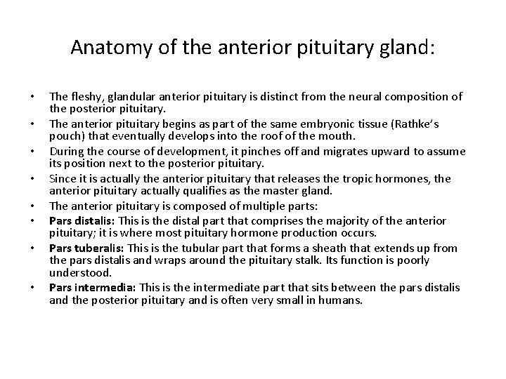 Anatomy of the anterior pituitary gland: • • The fleshy, glandular anterior pituitary is