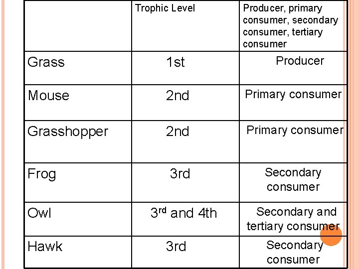 Trophic Level Producer, primary consumer, secondary consumer, tertiary consumer Producer Grass 1 st Mouse