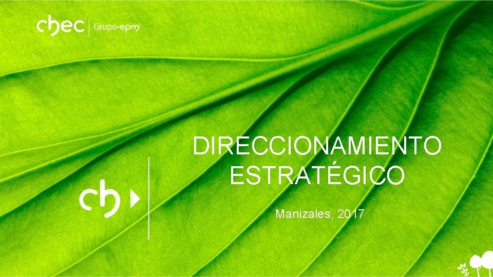 DIRECCIONAMIENTO ESTRATÉGICO Manizales, 2017 