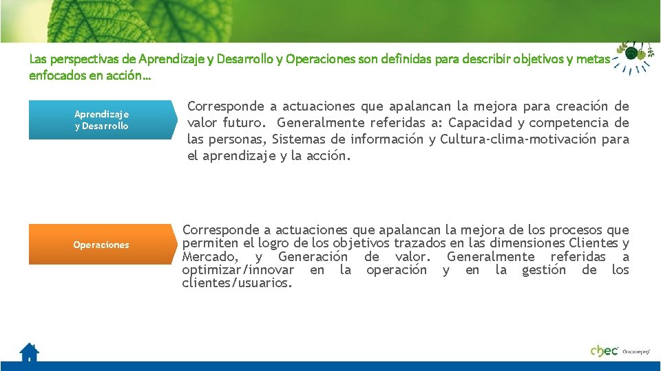 Las perspectivas de Aprendizaje y Desarrollo y Operaciones son definidas para describir objetivos y