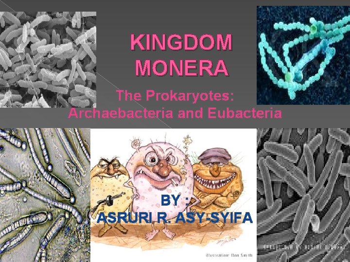 KINGDOM MONERA The Prokaryotes: Archaebacteria and Eubacteria BY : ASRURI R. ASY-SYIFA 
