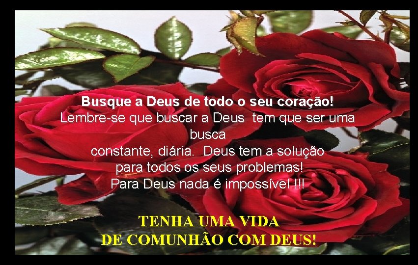 Busque a Deus de todo o seu coração! Lembre-se que buscar a Deus tem