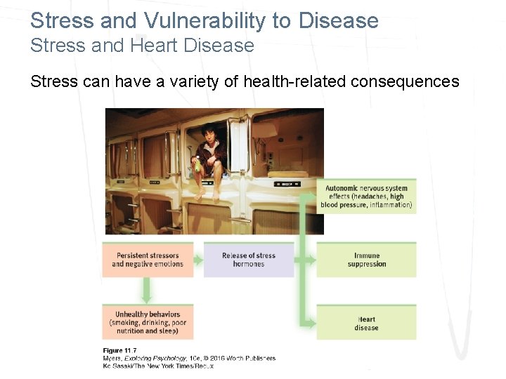 Stress and Vulnerability to Disease Stress and Heart Disease Stress can have a variety