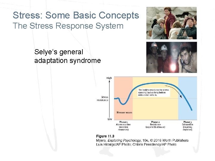 Stress: Some Basic Concepts The Stress Response System Selye’s general adaptation syndrome 