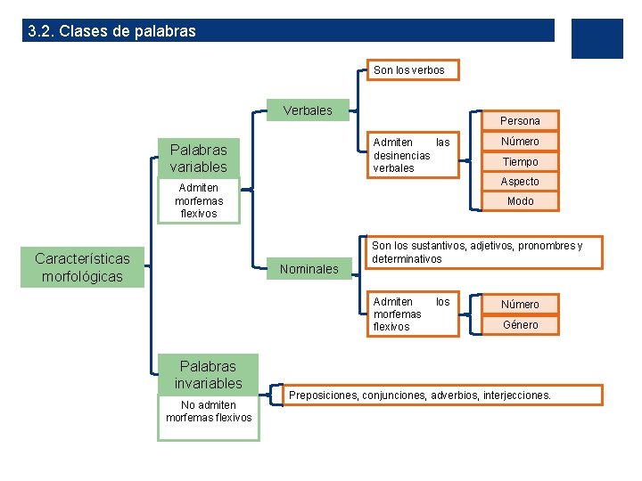 3. 2. Clases de palabras Son los verbos Verbales Persona Admiten las desinencias verbales