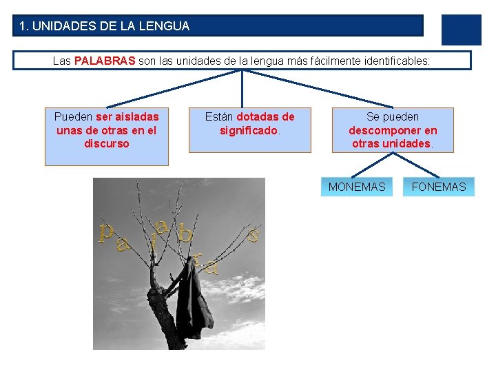 1. UNIDADES DE LA LENGUA Las PALABRAS son las unidades de la lengua más