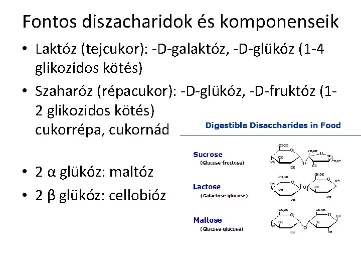 Fontos diszacharidok és komponenseik • Laktóz (tejcukor): -D-galaktóz, -D-glükóz (1 -4 glikozidos kötés) •