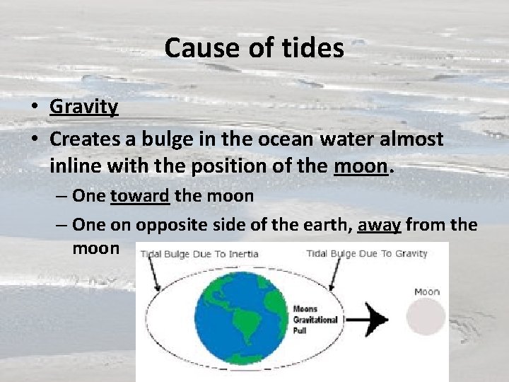 Cause of tides • Gravity • Creates a bulge in the ocean water almost