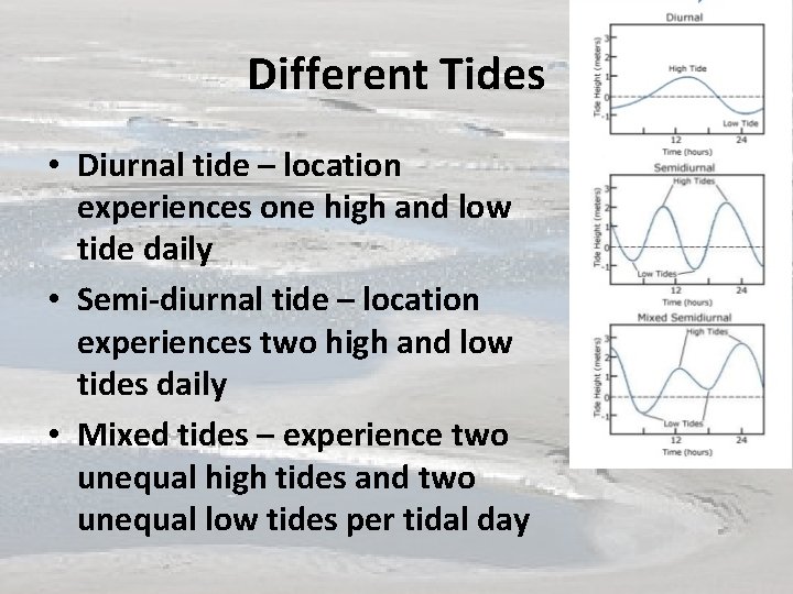 Different Tides • Diurnal tide – location experiences one high and low tide daily