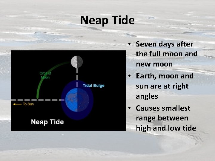 Neap Tide • Seven days after the full moon and new moon • Earth,