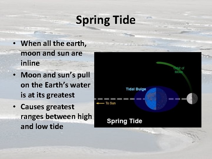Spring Tide • When all the earth, moon and sun are inline • Moon