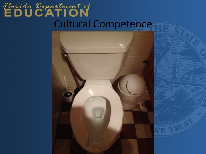 Cultural Competence 