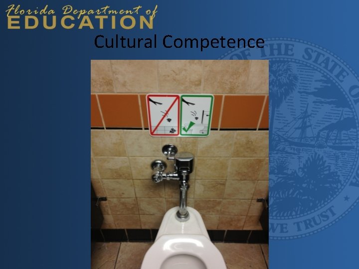 Cultural Competence 