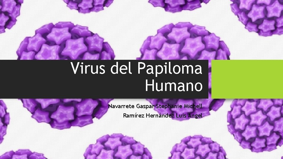 Virus del Papiloma Humano Navarrete Gaspar Stephanie Michell Ramírez Hernández Luis Angel 