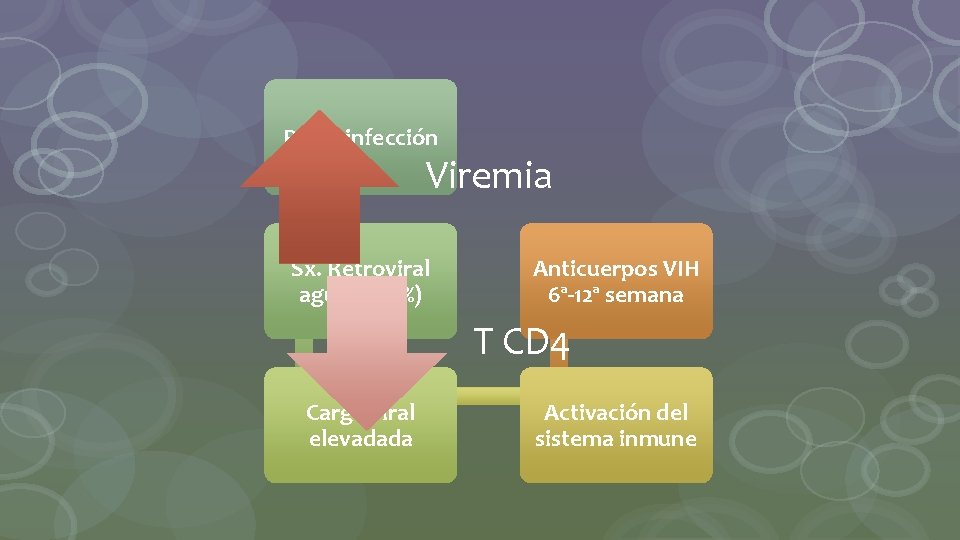 Primoinfección Viremia Sx. Retroviral agudo (50%) Anticuerpos VIH 6ª-12ª semana T CD 4 Carga