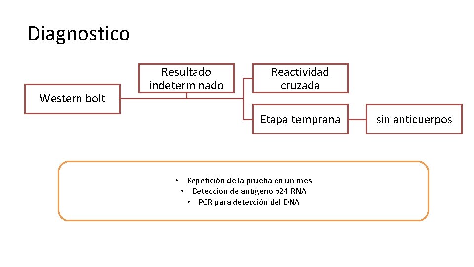 Diagnostico Western bolt Resultado indeterminado Reactividad cruzada Etapa temprana • Repetición de la prueba