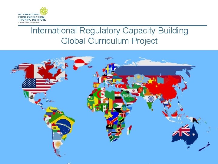 International Regulatory Capacity Building Global Curriculum Project 