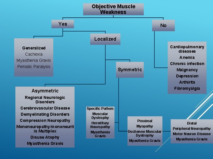 Objective Muscle Weakness Yes No Localized Generalized Cachexia Myasthenia Gravis Periodic Paralysis Symmetric Arthirits