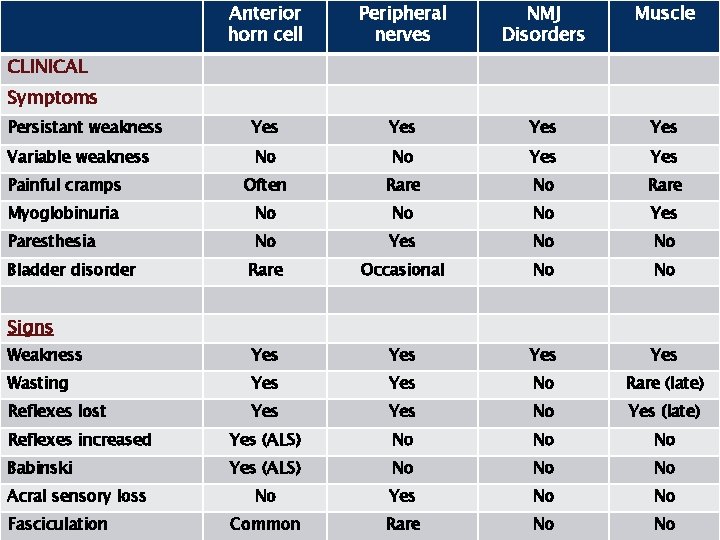 Anterior horn cell Peripheral nerves NMJ Disorders Muscle Persistant weakness Yes Yes Variable weakness