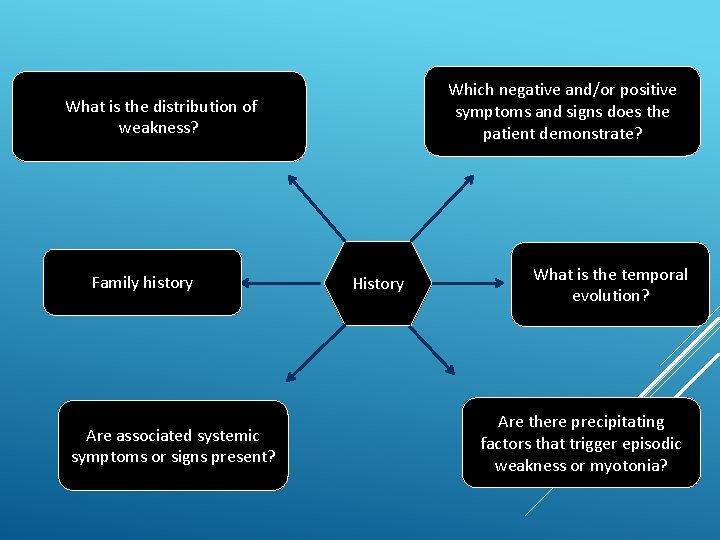 Which negative and/or positive symptoms and signs does the patient demonstrate? What is the