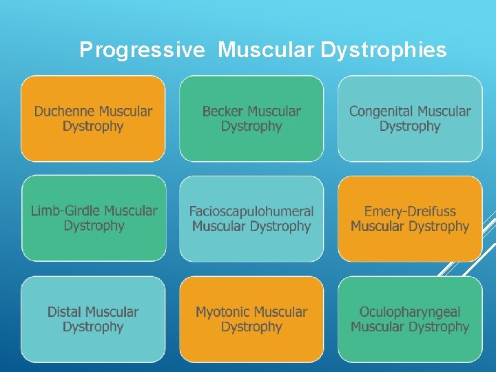 Progressive Muscular Dystrophies 