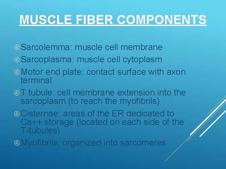 MUSCLE FIBER COMPONENTS Sarcolemma: muscle cell membrane Sarcoplasma: muscle cell cytoplasm Motor end plate: