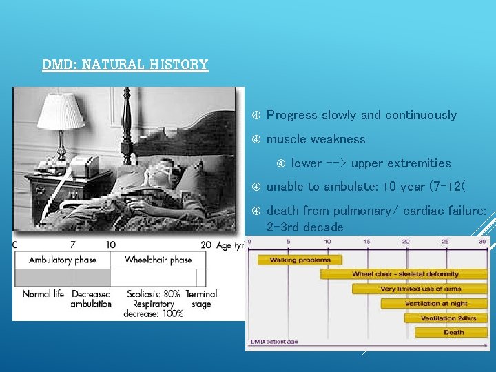 DMD: NATURAL HISTORY Progress slowly and continuously muscle weakness lower --> upper extremities unable