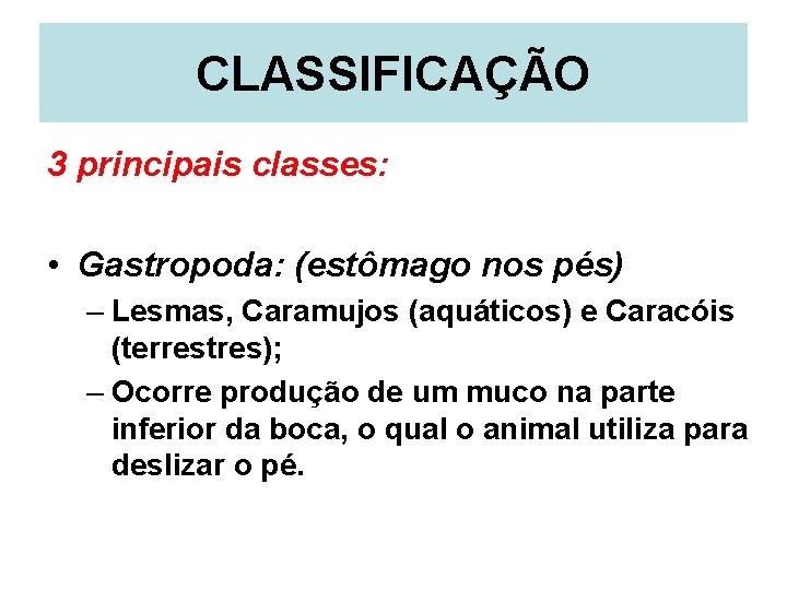 CLASSIFICAÇÃO 3 principais classes: • Gastropoda: (estômago nos pés) – Lesmas, Caramujos (aquáticos) e