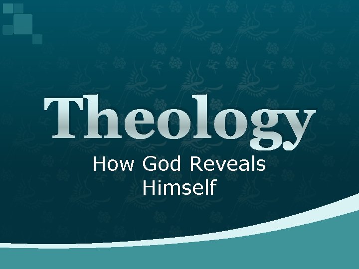 Theology How God Reveals Himself 