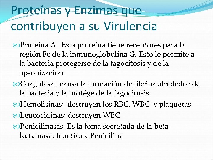 Proteínas y Enzimas que contribuyen a su Virulencia Proteína A Esta proteína tiene receptores