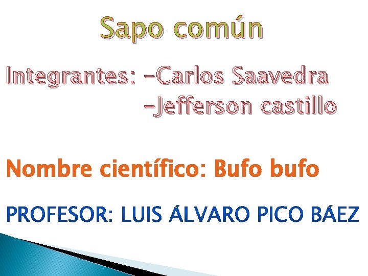 Sapo común Integrantes: -Carlos Saavedra -Jefferson castillo Nombre científico: Bufo bufo 