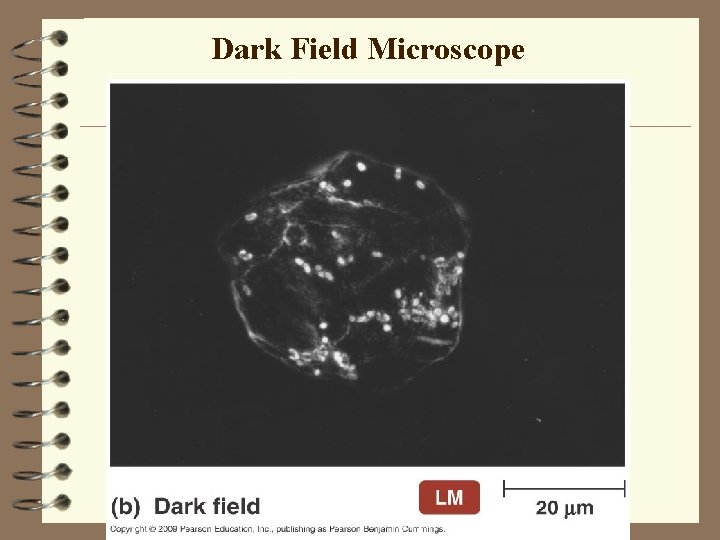 Dark Field Microscope 