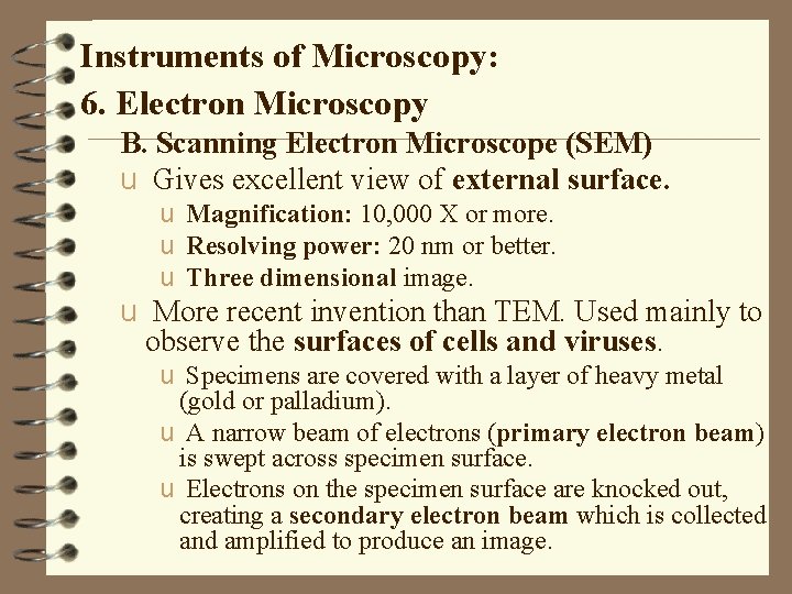 Instruments of Microscopy: 6. Electron Microscopy B. Scanning Electron Microscope (SEM) u Gives excellent