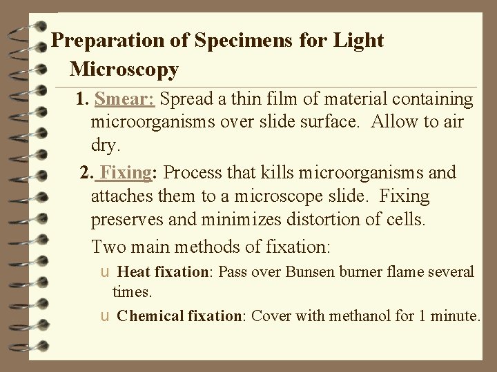 Preparation of Specimens for Light Microscopy 1. Smear: Spread a thin film of material