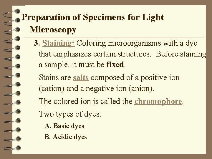 Preparation of Specimens for Light Microscopy 3. Staining: Coloring microorganisms with a dye that