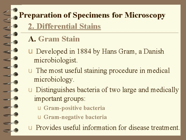 Preparation of Specimens for Microscopy 2. Differential Stains A. Gram Stain u Developed in