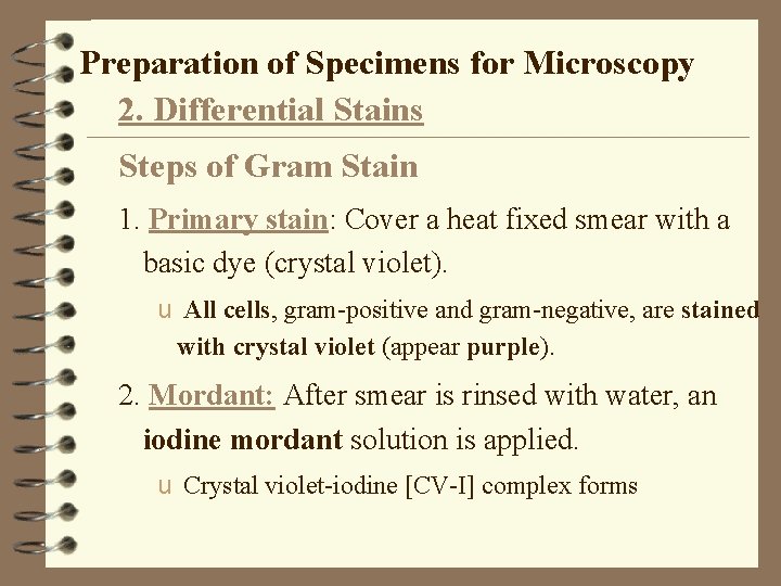 Preparation of Specimens for Microscopy 2. Differential Stains Steps of Gram Stain 1. Primary