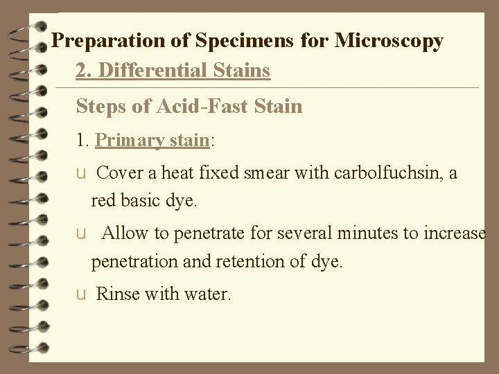 Preparation of Specimens for Microscopy 2. Differential Stains Steps of Acid-Fast Stain 1. Primary