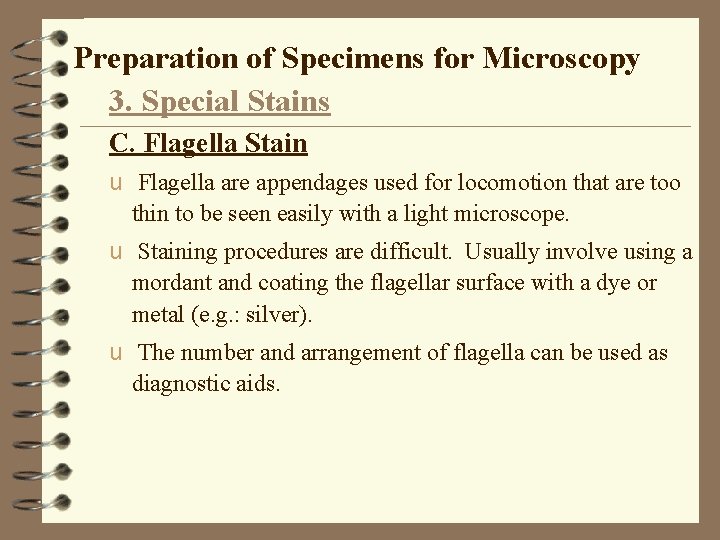 Preparation of Specimens for Microscopy 3. Special Stains C. Flagella Stain u Flagella are