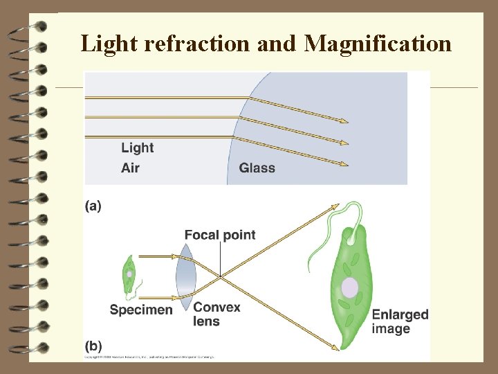 Light refraction and Magnification 