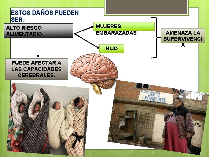 ESTOS DAÑOS PUEDEN SER: ALTO RIESGO ALIMENTARIO. MUJERES EMBARAZADAS HIJO PUEDE AFECTAR A LAS