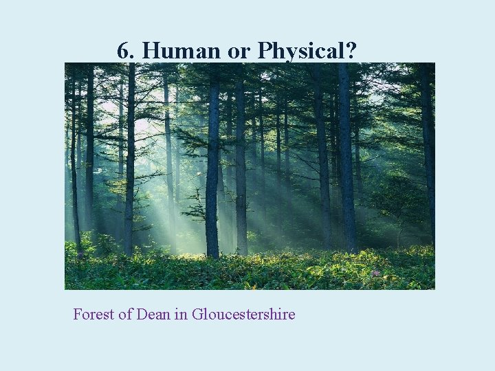 6. Human or Physical? Forest of Dean in Gloucestershire 