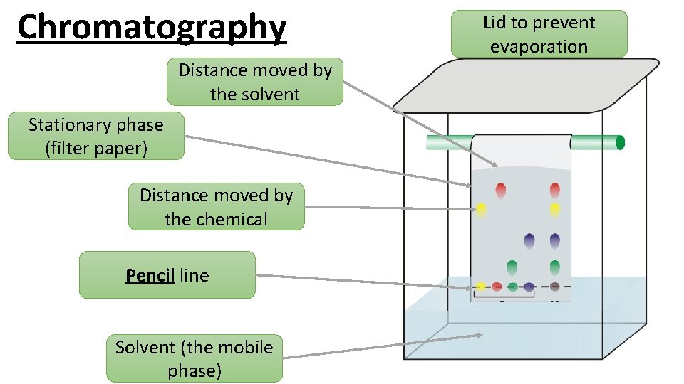 Chromatography Distance moved by the solvent Stationary phase (filter paper) Distance moved by the